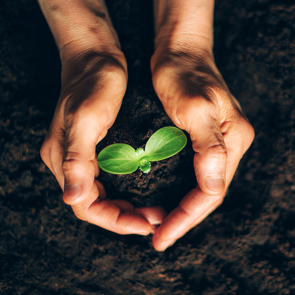 06 Bank Treasury Market