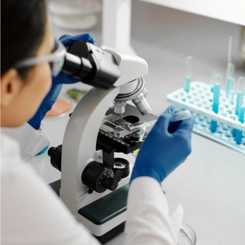 What Is Technology Finance